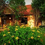 Butterfly Factory * Jonkowo