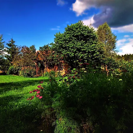 Chalet Butterfly Factory