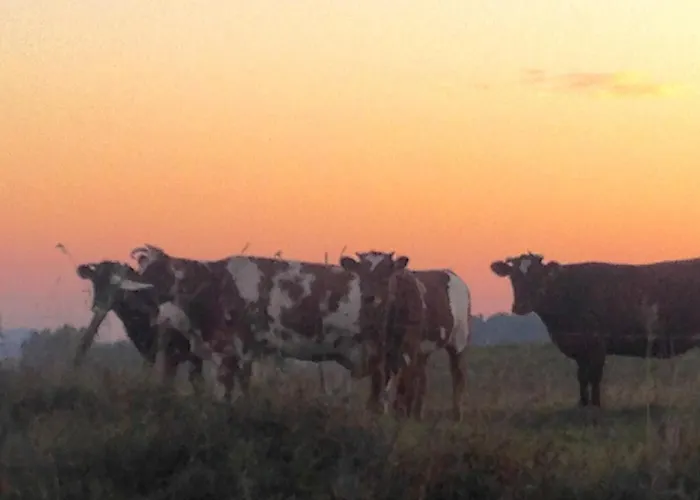 Butterfly Factory Jonkowo