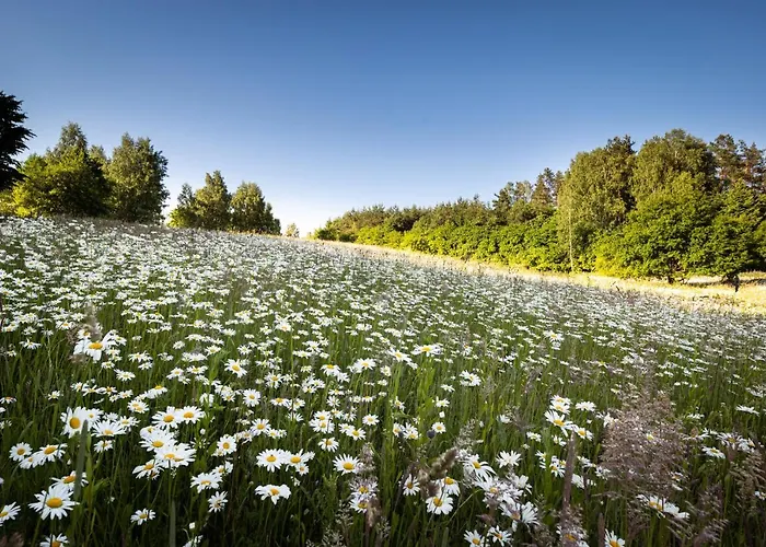 Butterfly Factory Jonkowo