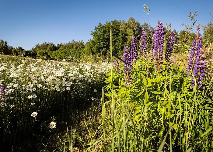 Butterfly Factory Chalet *
