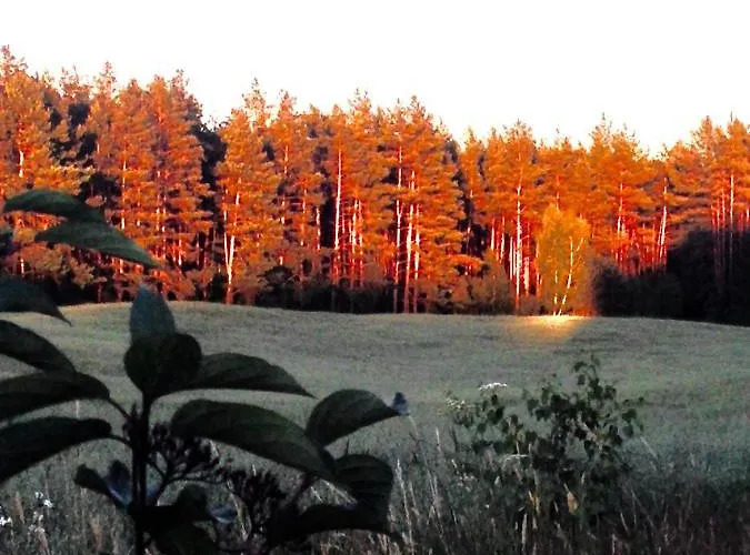 Chalet Butterfly Factory *