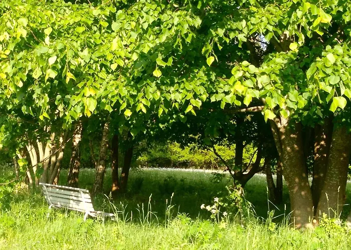 Butterfly Factory Jonkowo