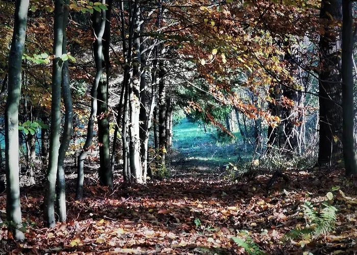 Chalet Butterfly Factory