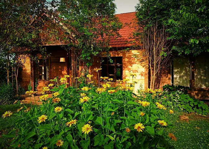 Butterfly Factory * Jonkowo