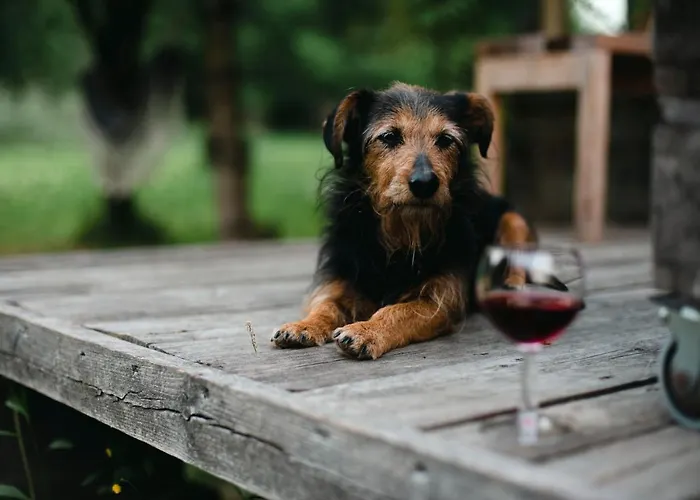 Chalet Butterfly Factory *